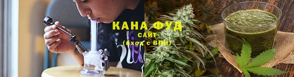 трава Няндома