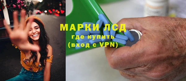 трава Няндома