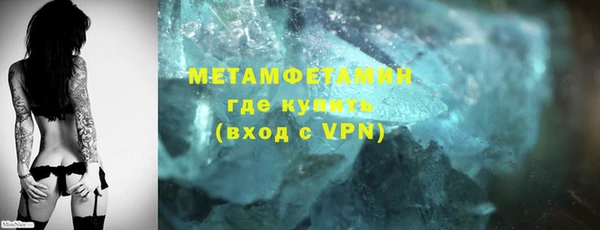 трава Няндома