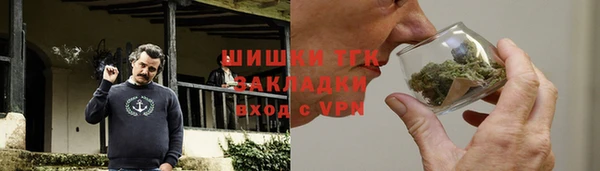 трава Няндома