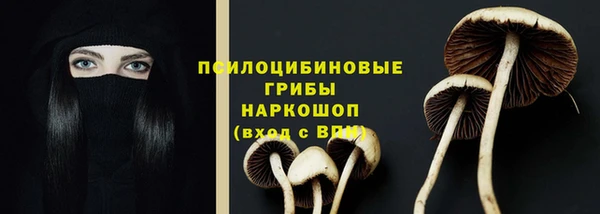 гидропоника Вязьма