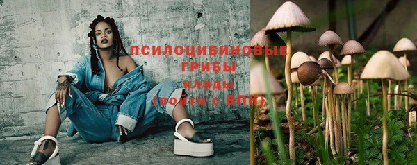 каннабис Новокубанск