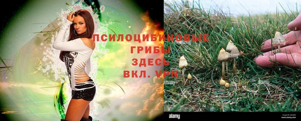 дурь Нягань