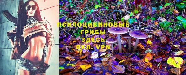mdpv Нязепетровск
