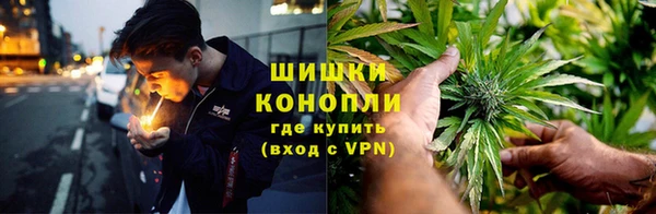 каннабис Новокубанск
