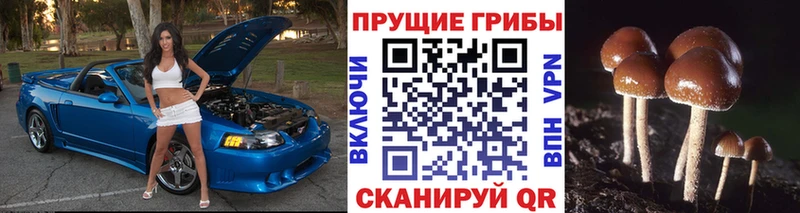 Галлюциногенные грибы ЛСД  дарнет шоп  Артём 